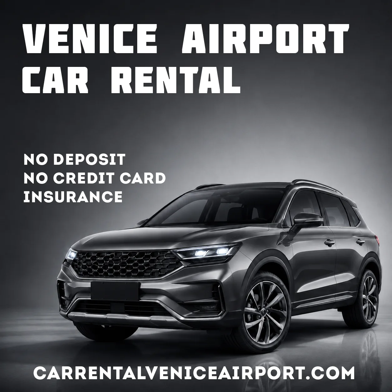 Car Rental Venice Airport